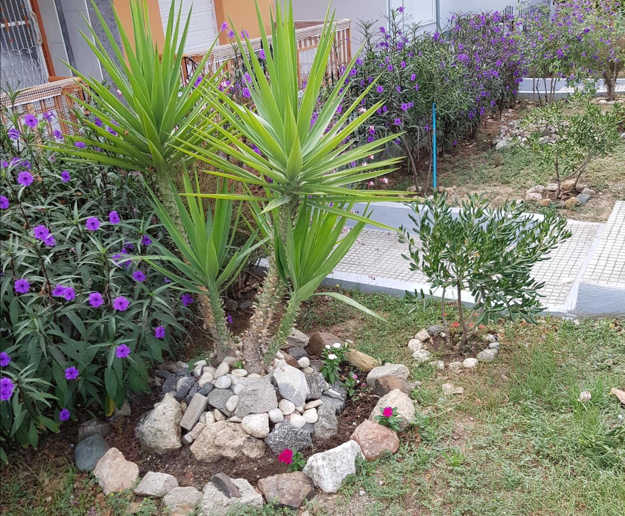 Roses Studios Nea Moudania Exteriér fotografie